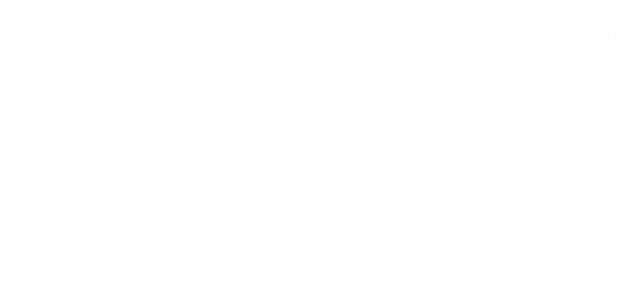 NEX02SVホイール断面